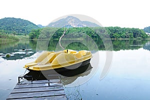 Watercycle on a swamp