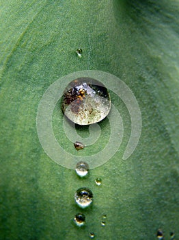 Waterdrop