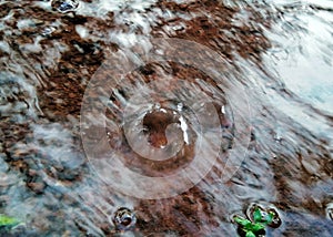 Waterdrop