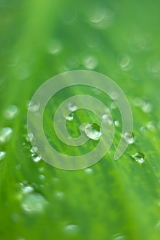 Waterdrop background