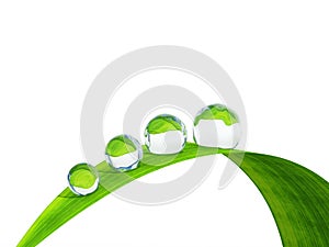 Waterdrop on a blade of grass. photo