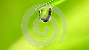 Waterdrop falling from grass