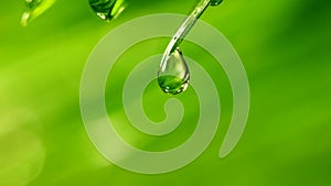 Waterdrop on grass