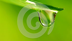 Waterdrop on grass