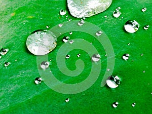 waterdrop on leaf