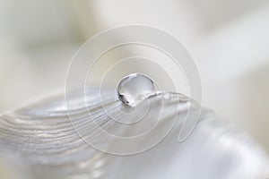 Waterdrop on leaf of a tulip