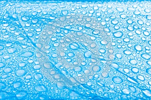 Waterdrops in the morning hours