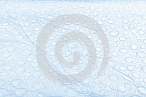 Waterdrops in the morning hours