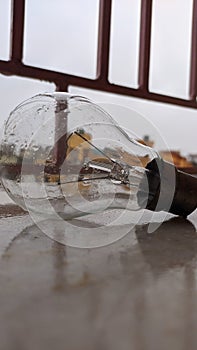 Waterdrops on electric bulb