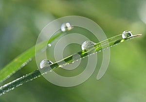 Waterdrops on a leaf