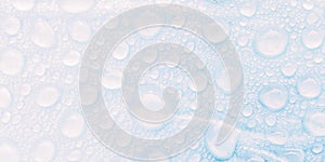 Waterdrops in the morning hours