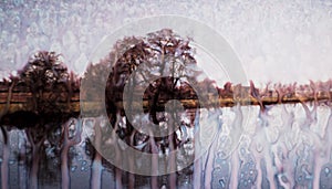 Watered down landscape experiment 6