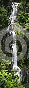 Cascada 