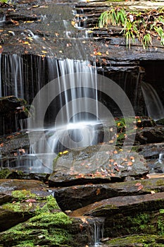 Waterfall across moss and fall leaves on wet rocks, Great Smoky Mountains