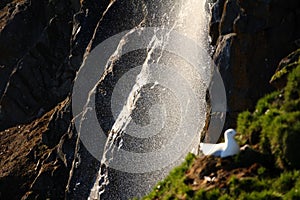 Waterfall in the Aectic high latitudes