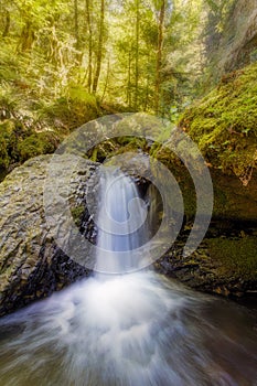 Waterfall along Gorton Creek in the Afternoon in Oregon