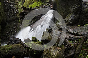 Waterfall along Historic Columbia River Highway