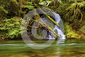 Waterfall along the Salmon River