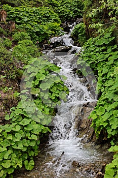 Waterfall alps mountain