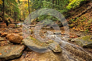 Waterfall In Autumn