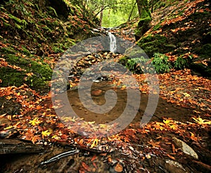 Waterfall in Autumn Forest