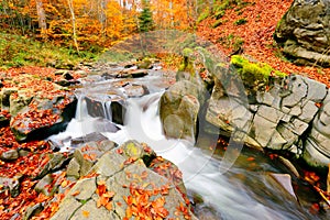 Waterfall autumn forest landscape, scenic nature scenery, Carpathian mountains. Ukraine, Europe