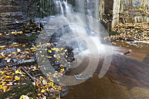 Waterfall with autumn leaves