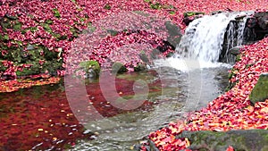 Waterfall in autumn in the mountains