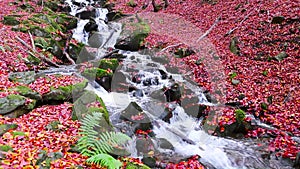 Waterfall in autumn in the mountains