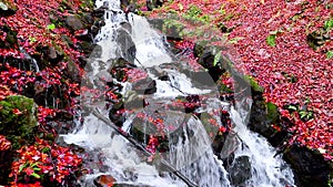 Waterfall in autumn in the mountains
