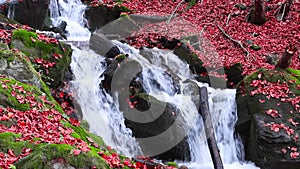 Waterfall in autumn in the mountains