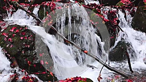 Waterfall in autumn in the mountains