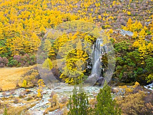 Waterfall with autunm leaves in Yading