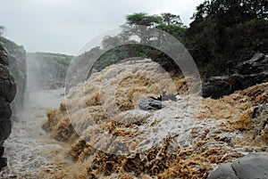 Waterfall at Awash National Park, Ethiopia photo