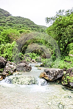 Waterfall in Ayn Khor  and Lush green landscape, trees and foggy mountains at tourist resort, Salalah, Oman