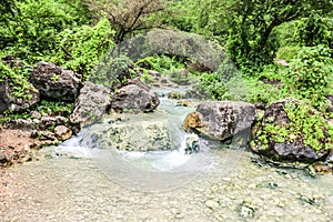 Waterfall in Ayn Khor and Lush green landscape, trees and foggy mountains at tourist resort, Salalah, Oman photo