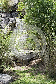 Waterfall and Bamboo