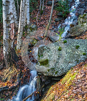 Waterfall in birch tree forest of Andorra
