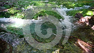 A waterfall with blue algae flows in a stream