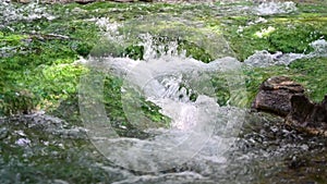 A waterfall with blue algae flows in a stream