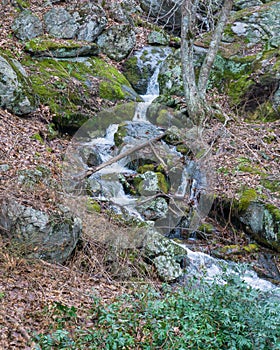 A Waterfall in the Blue Ridge Mountains