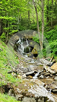 Waterfall in the blue ridge mountians in spring