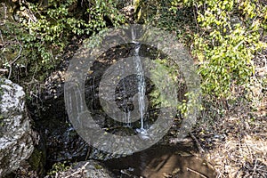 Waterfall in Boschi di Alpicella, Parco del Monte Beigua, Savona photo