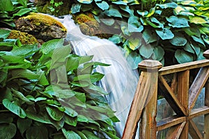 Waterfall in botanical garden