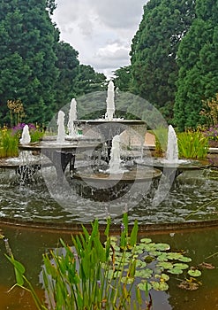 Waterfall in botanical garden landscape