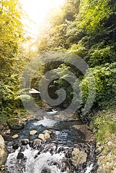 Waterfall and bridge at Gitgit waterfall.