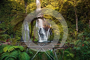 Waterfall with bridge and plants in tropics. Jungle cascade waterfall in tropical rainforest with warm sun light