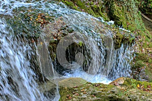 Waterfall Cascada at Vaioaga