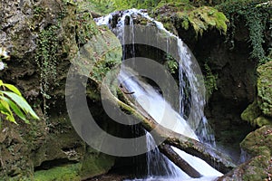 Waterfall Cascada at Vaioaga