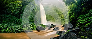 Waterfall cascade hidden in tropical jungle on the background green tree forest nature and mountain